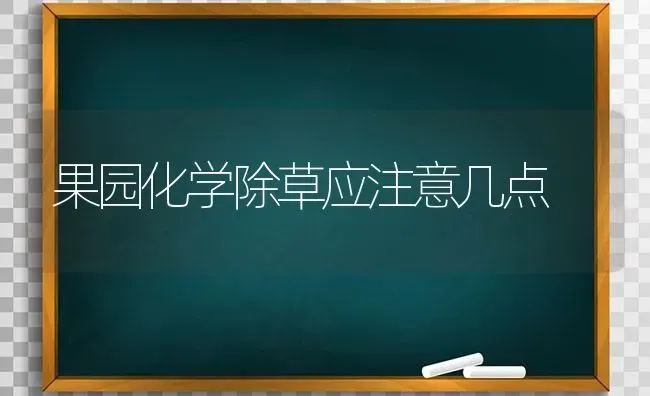 果园化学除草应注意几点 | 瓜果种植