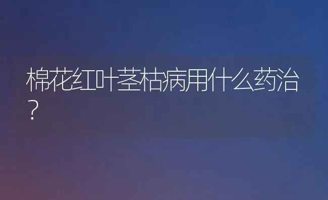 棉花红叶茎枯病用什么药治？ | 粮油作物种植