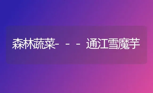 森林蔬菜---通江雪魔芋 | 蔬菜种植