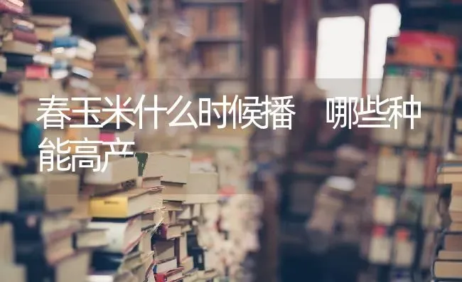春玉米什么时候播 哪些种能高产 | 粮油作物种植
