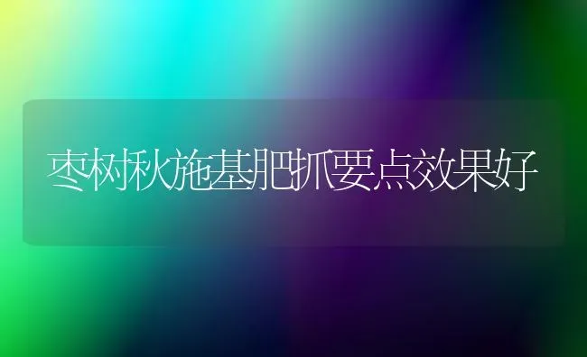枣树秋施基肥抓要点效果好 | 瓜果种植