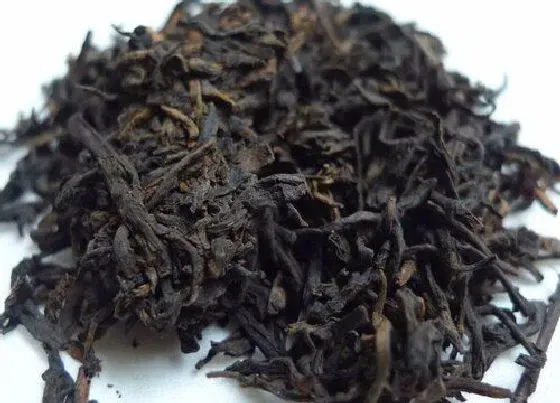 食用常识|六堡茶属于什么茶类 六堡茶冲泡方法及功效作用