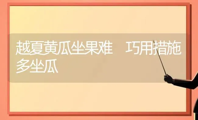 越夏黄瓜坐果难 巧用措施多坐瓜 | 瓜果种植