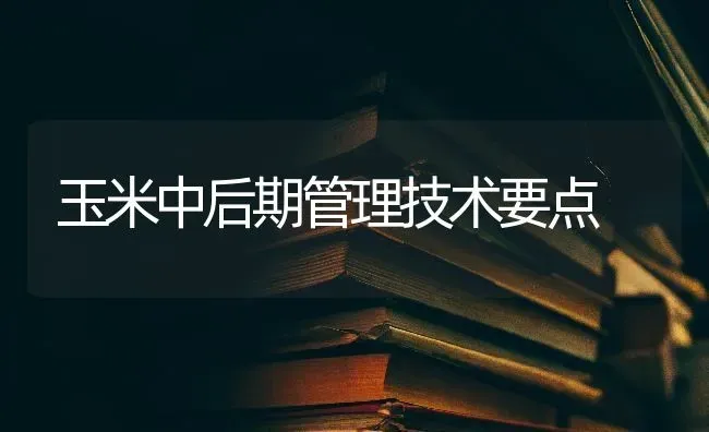 玉米中后期管理技术要点 | 粮油作物种植