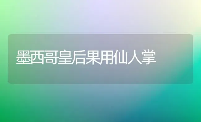 墨西哥皇后果用仙人掌 | 瓜果种植