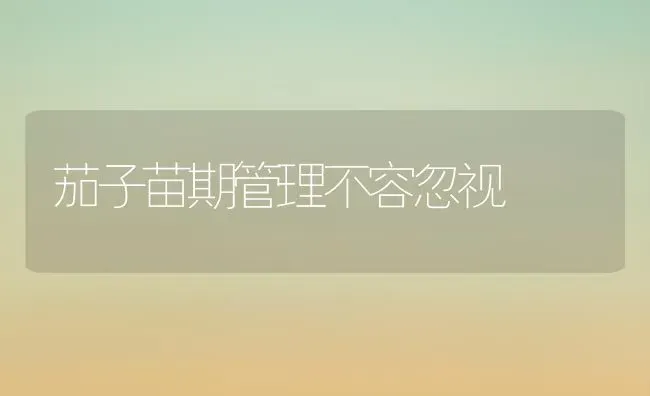 茄子苗期管理不容忽视 | 蔬菜种植