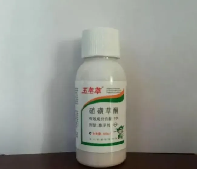 喷药|硝磺草酮在多少度作用最大（硝磺草酮适用作物及除草范围）