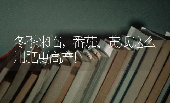 冬季来临，番茄、黄瓜这么用肥更高产！ | 蔬菜种植