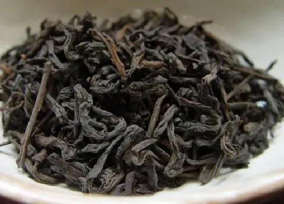 食用常识|六堡茶属于什么茶类 六堡茶冲泡方法及功效作用