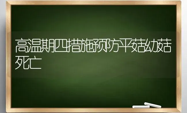 高温期四措施预防平菇幼菇死亡 | 食用菌种植