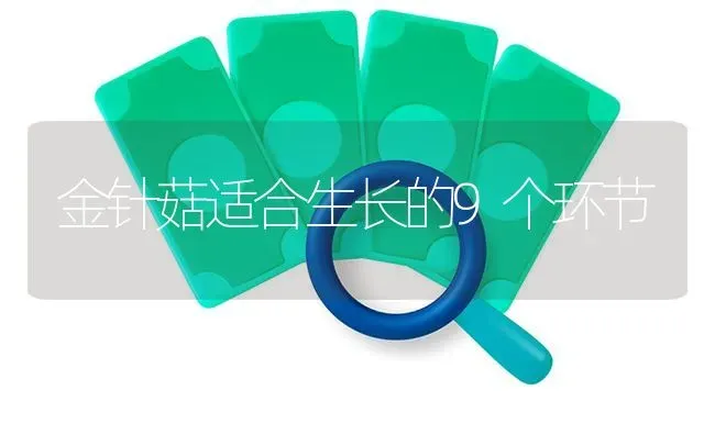 金针菇适合生长的9个环节 | 食用菌种植