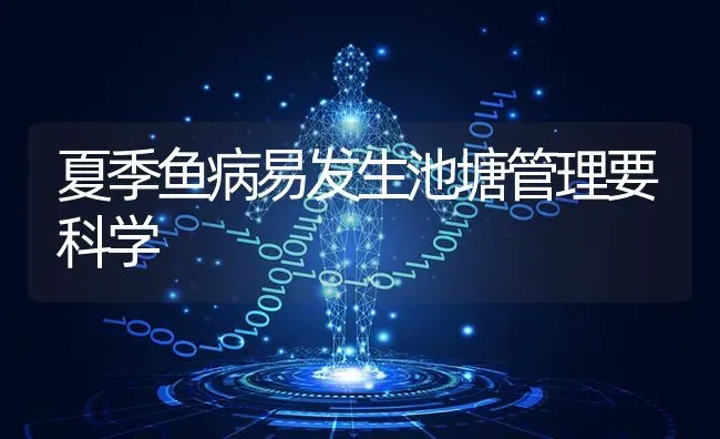 雨后强管理 玉米不受伤 | 粮油作物种植