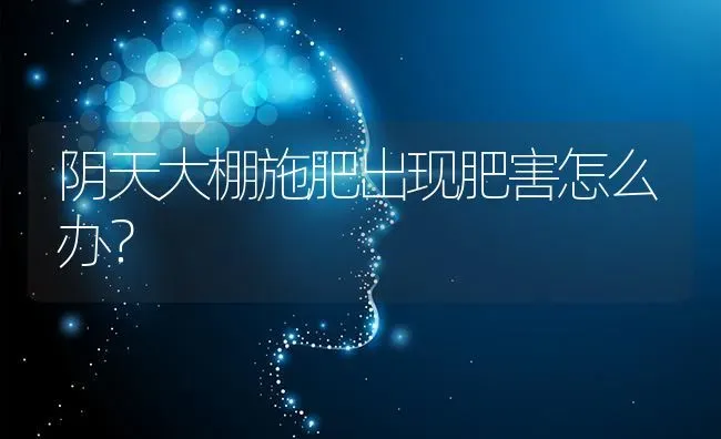 阴天大棚施肥出现肥害怎么办？ | 种植肥料施肥