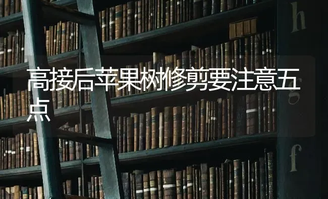 高接后苹果树修剪要注意五点 | 瓜果种植