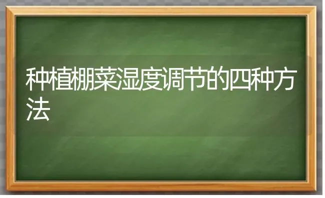 种植棚菜湿度调节的四种方法 | 植物种植百科