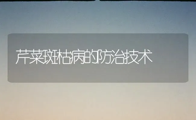 芹菜斑枯病的防治技术 | 蔬菜种植