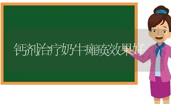 钙剂治疗奶牛瘫痪效果好 | 瓜果种植