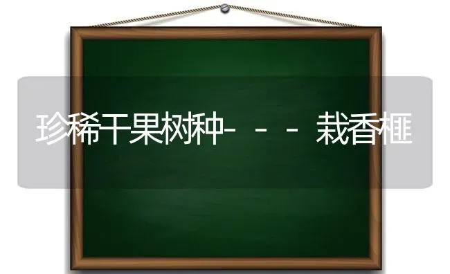 珍稀干果树种---栽香榧 | 瓜果种植