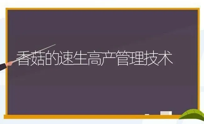 香菇的速生高产管理技术 | 食用菌种植