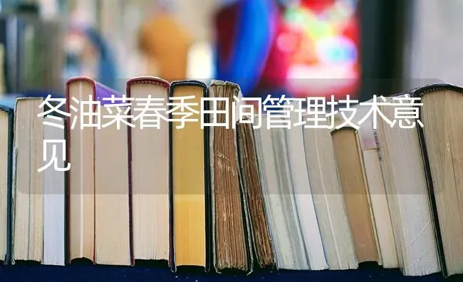 冬油菜春季田间管理技术意见 | 粮油作物种植