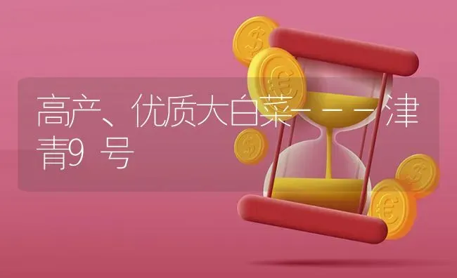 高产、优质大白菜---津青9号 | 蔬菜种植
