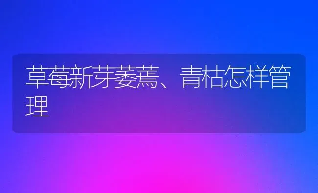 草莓新芽萎蔫、青枯怎样管理 | 瓜果种植