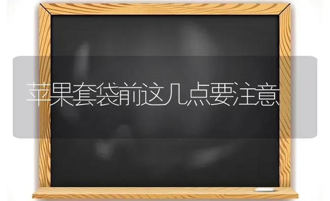 苹果套袋前这几点要注意 | 瓜果种植