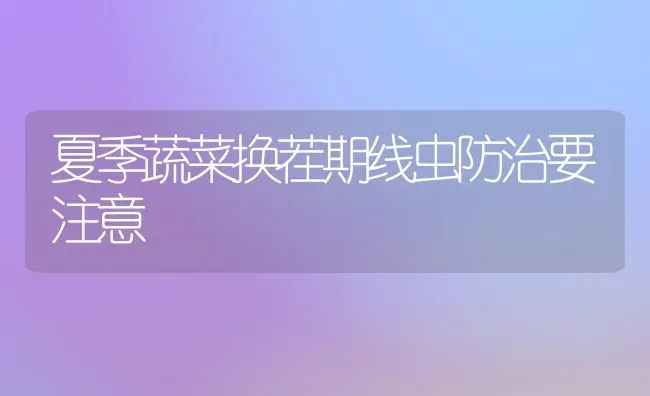 夏季蔬菜换茬期线虫防治要注意 | 蔬菜种植