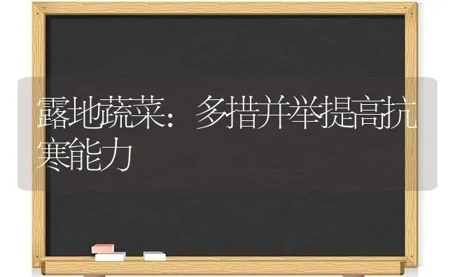 露地蔬菜：多措并举提高抗寒能力 | 蔬菜种植
