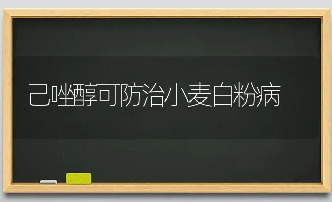 己唑醇可防治小麦白粉病 | 粮油作物种植