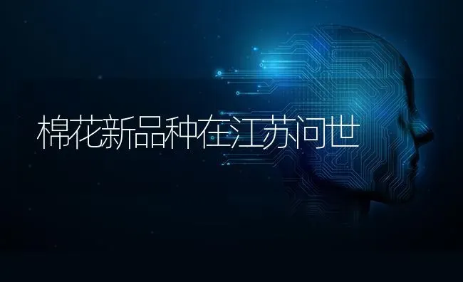 棉花新品种在江苏问世 | 粮油作物种植