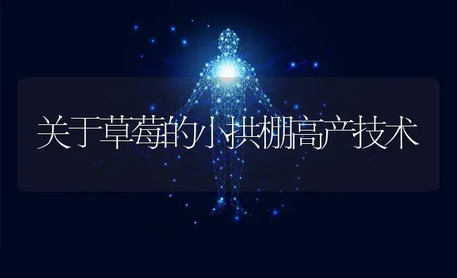 关于草莓的小拱棚高产技术 | 瓜果种植