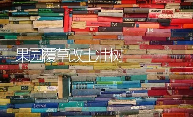 果园覆草改土壮树 | 瓜果种植