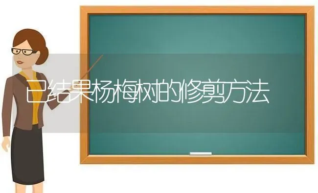 已结果杨梅树的修剪方法 | 瓜果种植