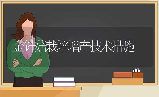 金针菇栽培增产技术措施 | 食用菌种植