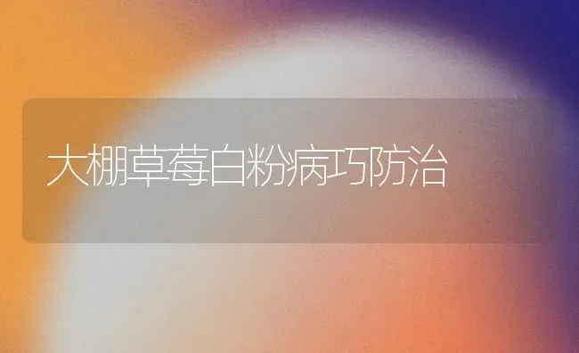 大棚草莓白粉病巧防治 | 瓜果种植