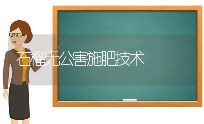 石榴无公害施肥技术 | 种植肥料施肥