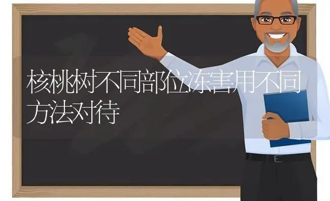 核桃树不同部位冻害用不同方法对待 | 瓜果种植