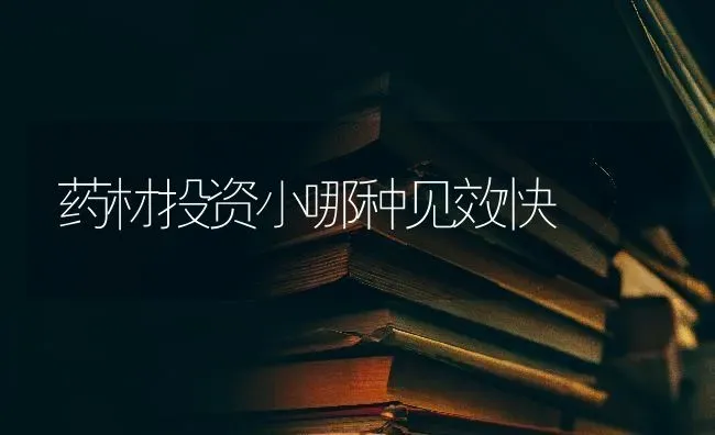 药材投资小哪种见效快 | 药材种植
