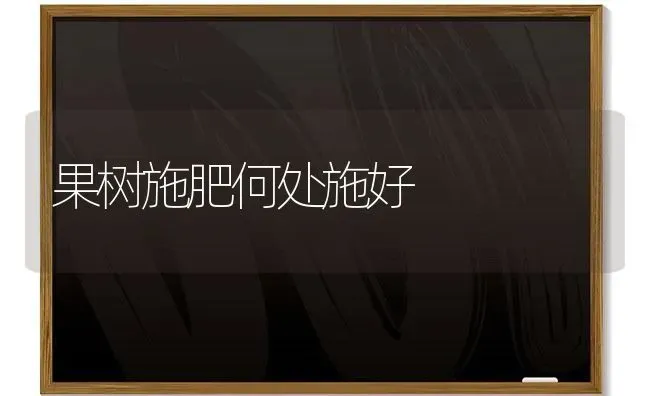 果树施肥何处施好 | 瓜果种植