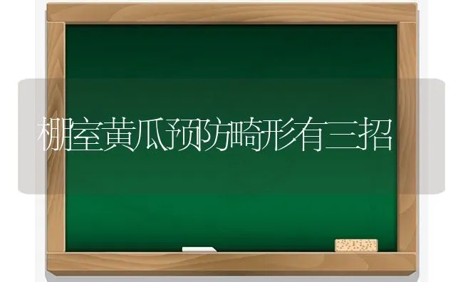 棚室黄瓜预防畸形有三招 | 蔬菜种植