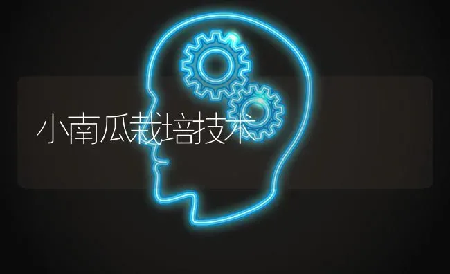 小南瓜栽培技术 | 蔬菜种植