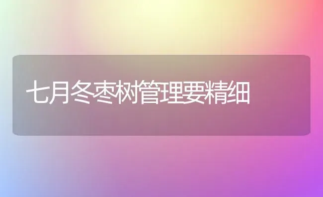 七月冬枣树管理要精细 | 瓜果种植