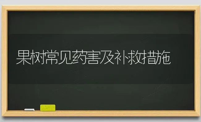 果树常见药害及补救措施 | 瓜果种植