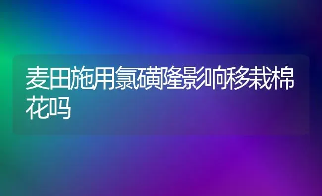 麦田施用氯磺隆影响移栽棉花吗 | 粮油作物种植