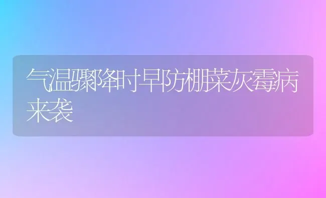 气温骤降时早防棚菜灰霉病来袭 | 蔬菜种植
