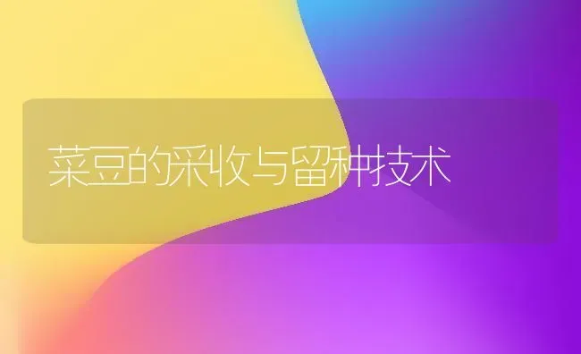 菜豆的采收与留种技术 | 蔬菜种植