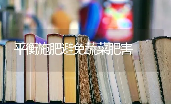 平衡施肥避免蔬菜肥害 | 蔬菜种植