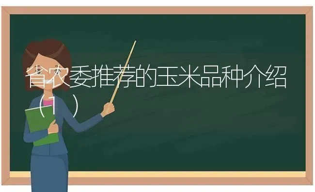 省农委推荐的玉米品种介绍（1） | 粮油作物种植