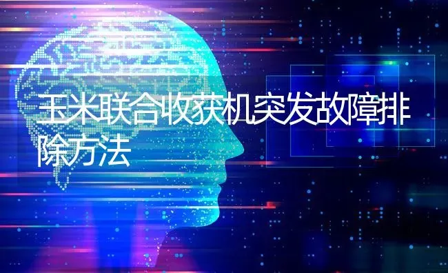 玉米联合收获机突发故障排除方法 | 粮油作物种植